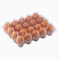 Лотки для куриных яиц (ПЭТ) на 6, 10, 12, 15, 18, 20, 30 ячеек от производителя