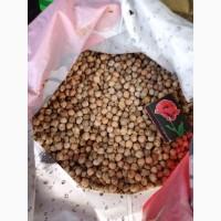 Нут некондиция