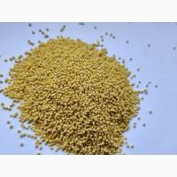 Продам пшено в/с от производителя