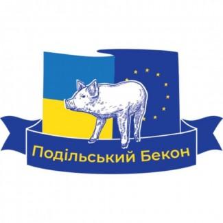 Продам поросят беконної породи