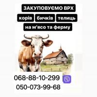 Закуповуємо Велику Рогату Худобу : ВРХ. Корови.Коні.Бички.Телиці. На М#039;ясо Та На Тримання