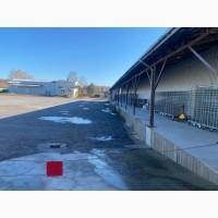 Продаж холодильного комплексу. Sale of refrigeration complex. Вінницький район