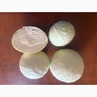 Продам капусту