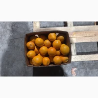 Продам апельсин