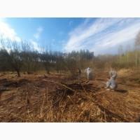 Расчистка участков Вита Почтовая