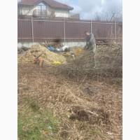 Расчистка участков Вита Почтовая