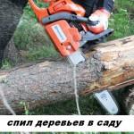 Обрезка, спил деревьев Полтава