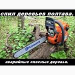 Обрезка, спил деревьев Полтава