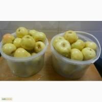 Продам моченые яблоки