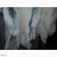 Продам кроличьи шкурки (мех)
