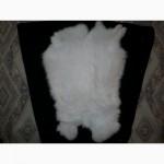 Продам кроличьи шкурки (мех)