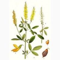 Продам донник белый и желтый урожай 2017.Есть по 500 кг