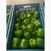 Куплю кубовидний зелений перець