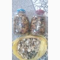 Продам сушені гриби та опеньки