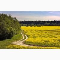 Продам действующие Агропредприятия 20600га Колхоз