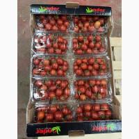 Продам Цитрус из Турции