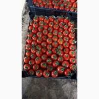 Продам Цитрус из Турции