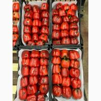 Продам Цитрус из Турции