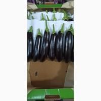 Продам Цитрус из Турции