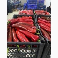 Продам Цитрус из Турции