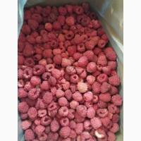 Куплю заморожену малину, 90/10 80/20 70/30 50/50 (оригінал) та грис