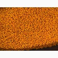 Продам заморожену обліпиху оптом