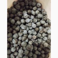 Продам ягоди терену