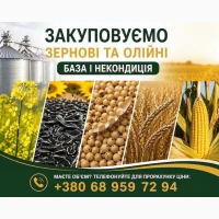Купуємо зернові та олійні культури будь-якої якості