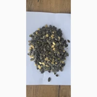 Куплю голонасінне насіння гарбуза