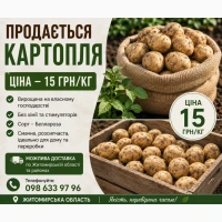 Продам картоплю