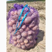 Продам картоплю. Київ, Бровари, Бориспіль
