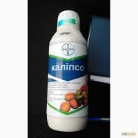 Каліпсо