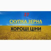 Компанія на постійній основі закуповує протравлену(червону) кукурудзу