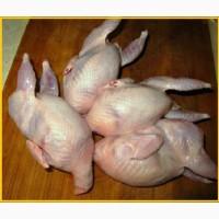 Мясо перепела BIO оптом