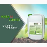Жива М Синтез