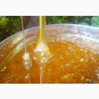 Продам мед оптом и в розницу