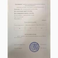 Семена тыквы