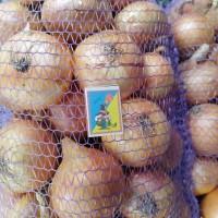 Продам цибулю червону і звичайну