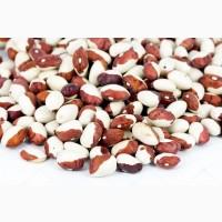 Квасоля продаж великий, дрібний опт