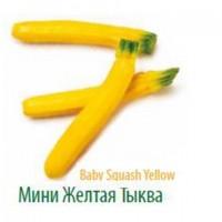 Продам Лук-порей высокого качества от крупнейшего производителя Турции