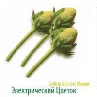 Продам Лук-порей высокого качества от крупнейшего производителя Турции