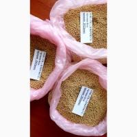 Продам горчицу белую