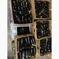 Баклажани сині та мармурові