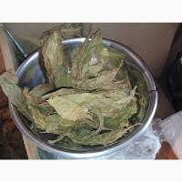 Тютюн листя куплю 230 грн за кг трьохцветка брак