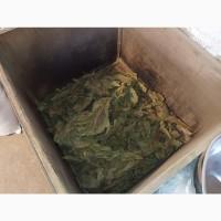 Тютюн листя куплю 350 грн за кг трьохцветка брак