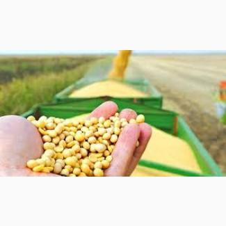 Купимо СОЮ Самовивіз по Україні