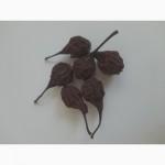 Дика груша сушена