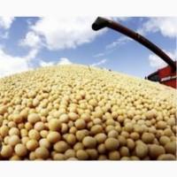 Закуповуємо Сою