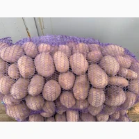 Продам картоплю
