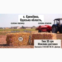 Солома в тюках (пшенична, ячмінна, горохова). Якісна, суха. Можливий продаж, біомасою